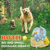 Summer Pet Chest Harness with Matching Adorable Hat